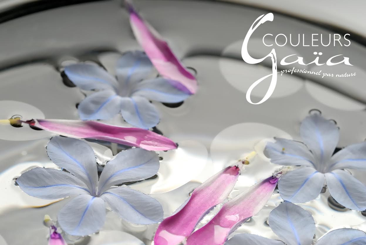 Article : Argile, Coloration Végétale, Huiles Essentielles...